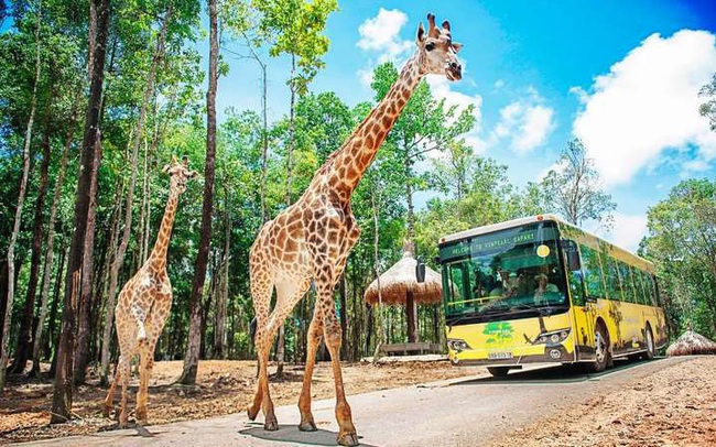 Vingroup đề xuất làm khu sinh thái Vinpearl Safari hơn 1.100ha ở Quảng Ninh