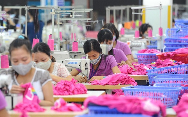 50% số đơn hàng bị huỷ trong nửa đầu năm nay, hàng chục ngàn công nhân dệt may Việt Nam lo  mất việc
