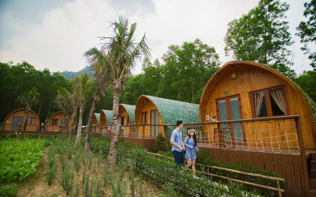 Nhiều tổ chức, cá nhân tự ý phân lô đất nông nghiệp, đất rừng để xây dựng farmstay trái phép