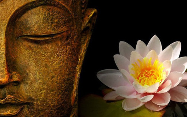 "Làm thế nào để hoa trong bình tươi lâu hơn?" - thiền sư giải thích đáp án, mang đến lợi ích trọn đời cho tất cả mọi người "Làm thế nào để hoa trong bình tươi lâu hơn?" - thiền sư giải thích đáp án, mang đến lợi ích trọn đời cho tất cả mọi người