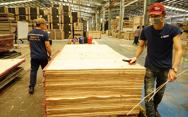 Cảnh báo luồng gỗ bất hợp pháp từ nước ngoài tuồn vào Việt Nam