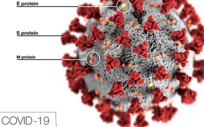 "Khối cầu gai" khuynh đảo thế giới: Thấy gì từ bức hình minh họa 3D nổi tiếng của virus SARS-CoV-2?