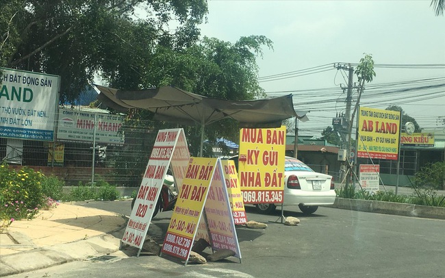 Mua 'lúa non' quanh dự án Long Thành Mua 'lúa non' quanh dự án Long Thành