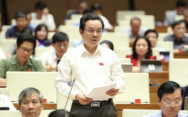 Đại biểu Quốc hội đề xuất biến nhà đầu tư nước ngoài thành trụ cột các ngành sản xuất trong nước