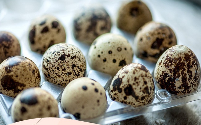 Nano bạc giúp tăng chất lượng trứng cút ở Nhật Bản
