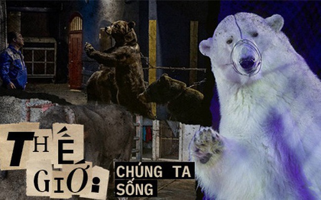 Thực tại tăm tối phía sau ngành du lịch thiên nhiên hoang dã: Những nỗi đau không cất nên lời Thực tại tăm tối phía sau ngành du lịch thiên nhiên hoang dã: Những nỗi đau không cất nên lời