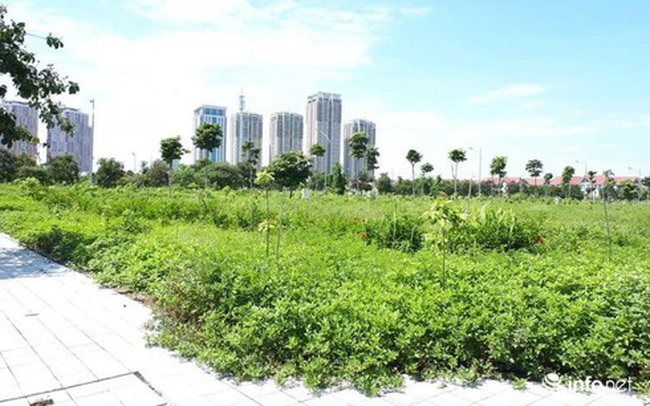 Nghe bạn nhậu, giấu vợ rút tiền, bán vàng dành cưới con để 'sập bẫy'... đất vịt giời Nghe bạn nhậu, giấu vợ rút tiền, bán vàng dành cưới con để 'sập bẫy'... đất vịt giời