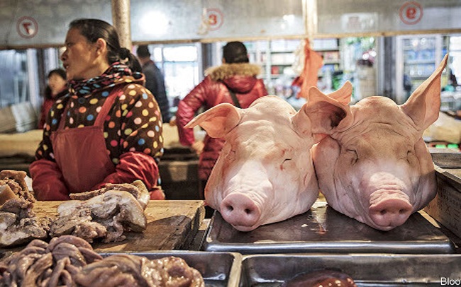 Lần đầu tiên sau hơn 1 năm, cơn sốt thịt lợn Trung Quốc hạ nhiệt