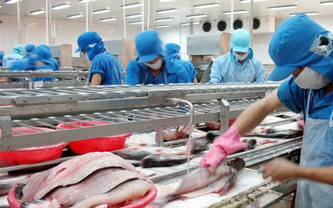 Vĩnh Hoàn (VHC): Kinh doanh chứng khoán có lãi nhẹ, 9 tháng lợi nhuận giảm về 552 tỷ đồng