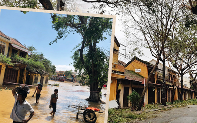 Hội An tan hoang sau bão số 9, những rặng hoa giấy rực rỡ ngày thường nay bỗng hóa xác xơ, nước sông Hoài dâng lên ngập cả nhiều tuyến đường trung tâm phố cổ Hội An tan hoang sau bão số 9, những rặng hoa giấy rực rỡ ngày thường nay bỗng hóa xác xơ, nước sông Hoài dâng lên ngập cả nhiều tuyến đường trung tâm phố cổ