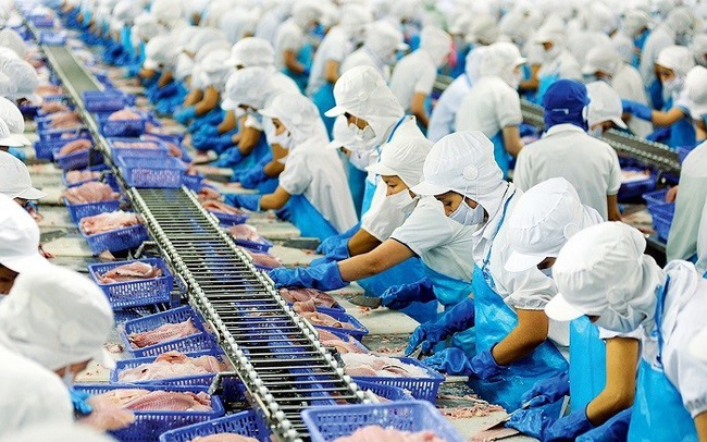 vĩnh hoàn, kết quả kinh doanh vĩnh hoàn, kết quả kinh doanh