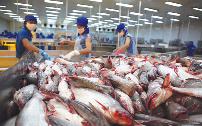Thủy sản Việt Nam đang được xuất sang 154 thị trường, riêng 6 thị trường lớn chiếm gần 80% kim ngạch