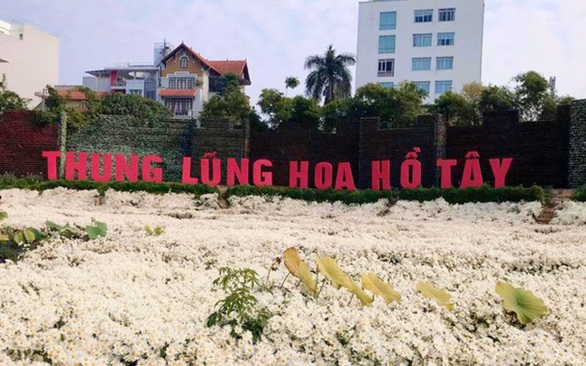 Sai phạm đất đai tràn lan ở 'Thung lũng hoa Hồ Tây' Sai phạm đất đai tràn lan ở 'Thung lũng hoa Hồ Tây'