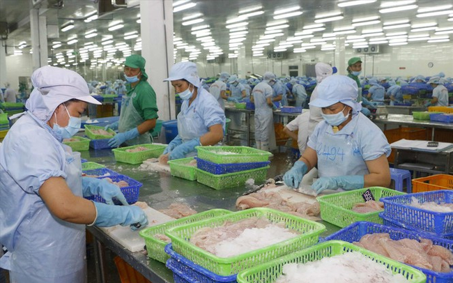 Cá tra Việt Nam chiếm ưu thế ở thị trường Trung Quốc