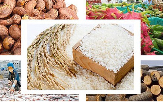 Khiếm khuyết của ngành nông nghiệp bộc lộ nhiều qua dịch Covid-19