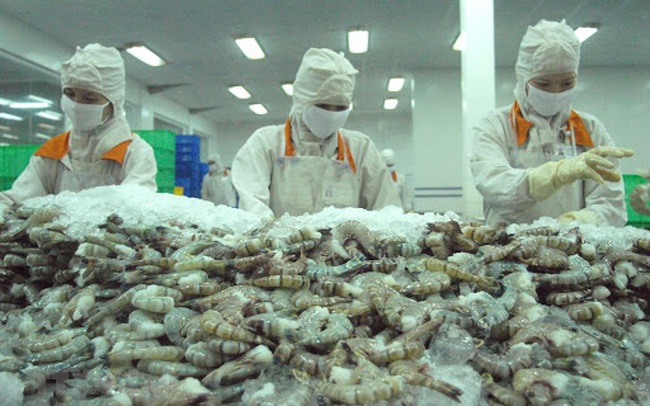 Xuất khẩu tôm sang EU tăng mạnh nhất kể từ đầu năm