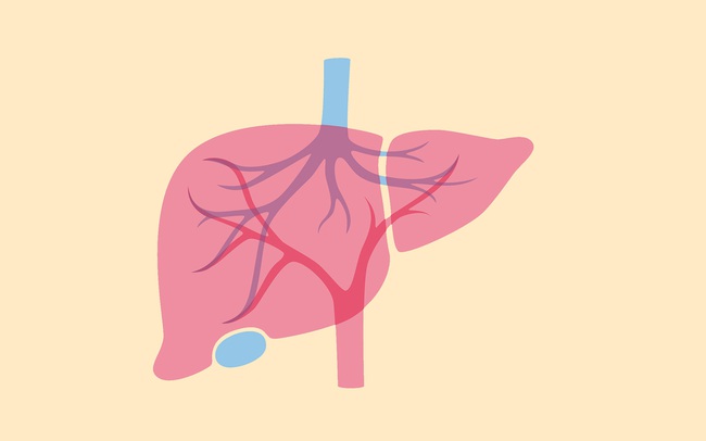Lời cảnh tỉnh của nữ y tá có cha qua đời vì bệnh xơ gan do rượu: Những triệu chứng đầu tiên xuất hiện ở nơi ít ai để ý Lời cảnh tỉnh của nữ y tá có cha qua đời vì bệnh xơ gan do rượu: Những triệu chứng đầu tiên xuất hiện ở nơi ít ai để ý