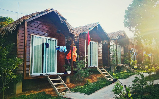Bẫy lợi nhuận từ đầu tư farmstay Bẫy lợi nhuận từ đầu tư farmstay