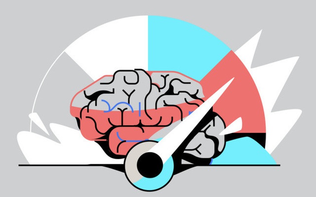 Vì sao có tới 5 thói quen chủ chốt có thể rèn luyện trí não để đạt được hiệu suất cao nhất? Cách lý giải từ chuyên gia thần kinh học ai cũng thấy chí lý
