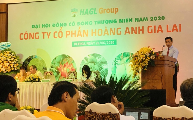 Hoàng Anh Gia Lai miễn nhiệm một Phó Tổng Giám đốc Hoàng Anh Gia Lai miễn nhiệm một Phó Tổng Giám đốc