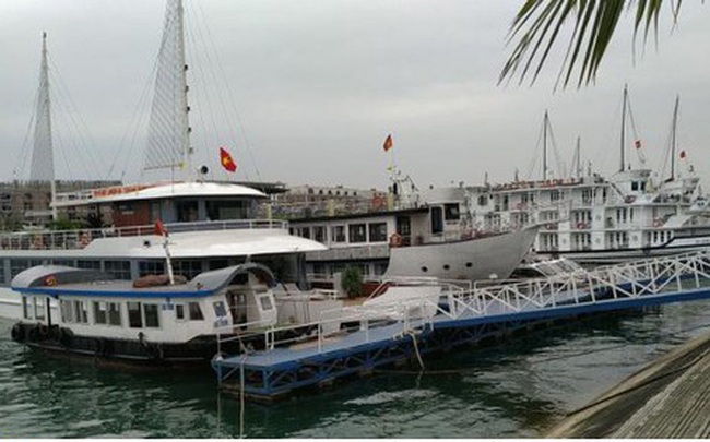 Hơn 100 hộ kinh doanh tàu du lịch Quảng Ninh xin tạm dừng hoạt động