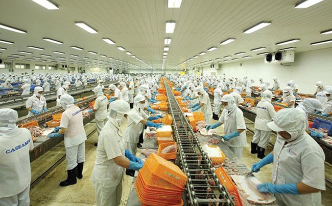 VASEP dự báo xuất khẩu thủy sản có thể đạt 8,26 - 8,3 tỷ USD năm 2020