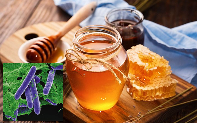 Vi khuẩn trong pate Minh Chay khiến 9 người ngộ độc là loại gì mà nguy hiểm đến vậy? Vi khuẩn trong pate Minh Chay khiến 9 người ngộ độc là loại gì mà nguy hiểm đến vậy?