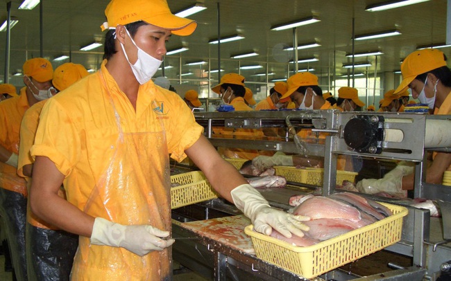 Xuất khẩu thủy sản đang dựa tăng trưởng thị trường Mỹ