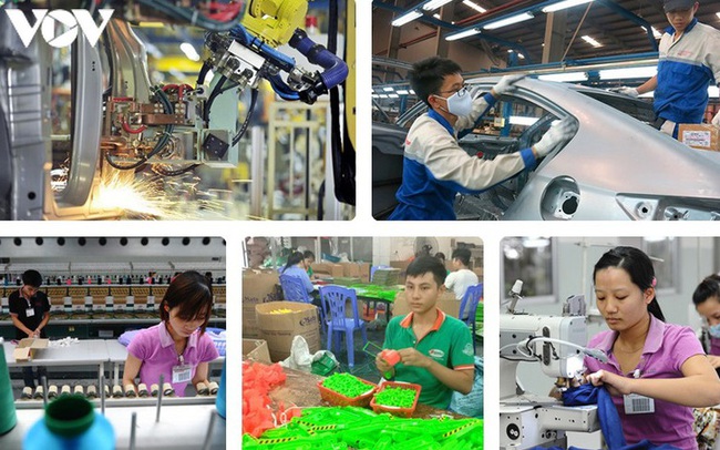 “Chúng ta nói EVFTA là xa lộ nhưng đường tỉnh đường huyện đầy trông gai”