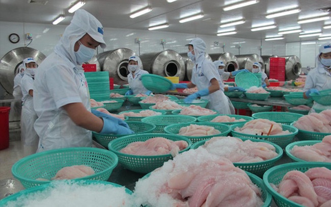 Ả-rập Xê-út cho phép 12 doanh nghiệp Việt Nam được xuất khẩu thủy sản trở lại