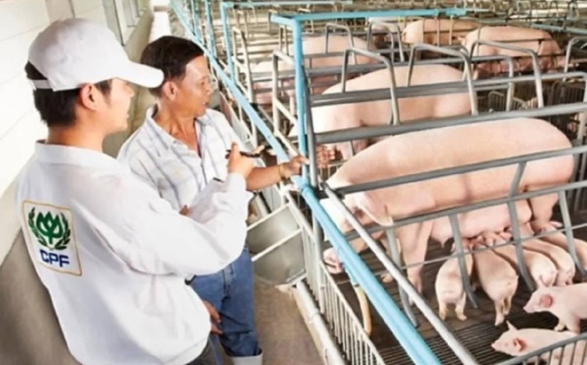 CP Thái Lan mua lại 43 doanh nghiệp chăn nuôi heo của Trung Quốc với trị giá hơn 4 tỷ USD CP Thái Lan mua lại 43 doanh nghiệp chăn nuôi heo của Trung Quốc với trị giá hơn 4 tỷ USD