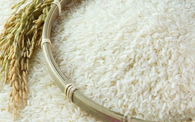 Nước nào đang cạnh tranh với Việt Nam trong cuộc đua xuất khẩu gạo sang Châu Phi?