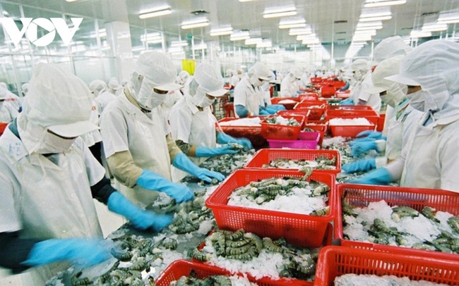 Thương mại song phương Việt Nam- Canada tăng 6,6% năm 2020 nhờ CPTPP