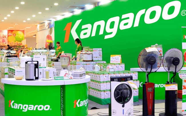 Lợi nhuận của Kangaroo tăng gấp đôi trong năm COVID-19 Lợi nhuận của Kangaroo tăng gấp đôi trong năm COVID-19