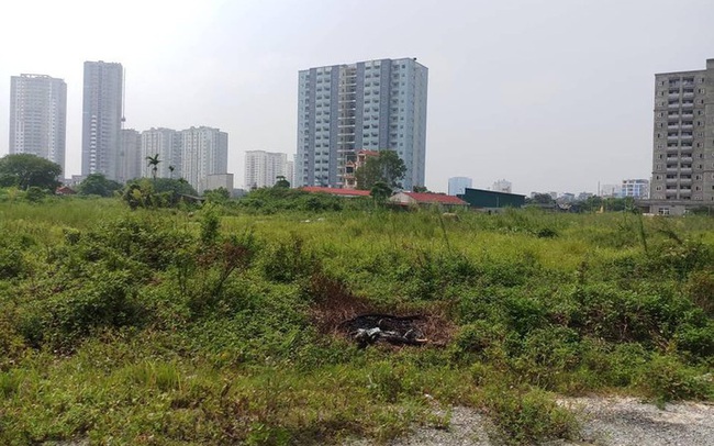 HoREA: Việc sắp xếp, xử lý tài sản công khiến nhiều dự án phải tạm dừng HoREA: Việc sắp xếp, xử lý tài sản công khiến nhiều dự án phải tạm dừng