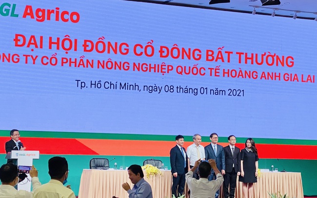 Ông Trần Bá Dương: Làm nông nghiệp nói chung và làm Chủ tịch HAGL Agrico nói riêng, với tôi là bất đắc dĩ!