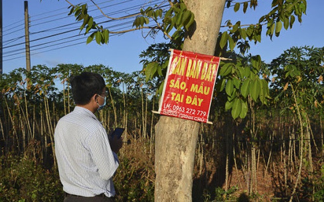 Nghe lời bạn thân, nhà đầu tư F0 này trúng quả đậm 3 tỉ khi đầu tư BĐS trong vòng 6 tháng