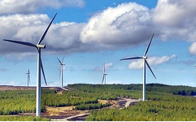 Mới có 11/106 nhà máy điện gió được công nhận vận hành thương mại