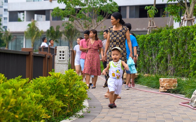 Tận mắt ngắm những căn nhà biệt lập giữa phố thị xô bồ, 5 lý do để người ta sẵn sàng bỏ tất cả tìm về chốn bình yên