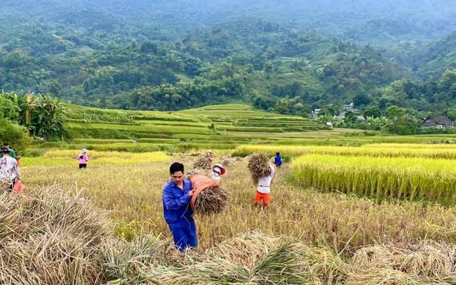 Lên kế hoạch 'săn combo du lịch' nghỉ dưỡng khi nhiều nơi không yêu cầu test COVID-19 Lên kế hoạch 'săn combo du lịch' nghỉ dưỡng khi nhiều nơi không yêu cầu test COVID-19
