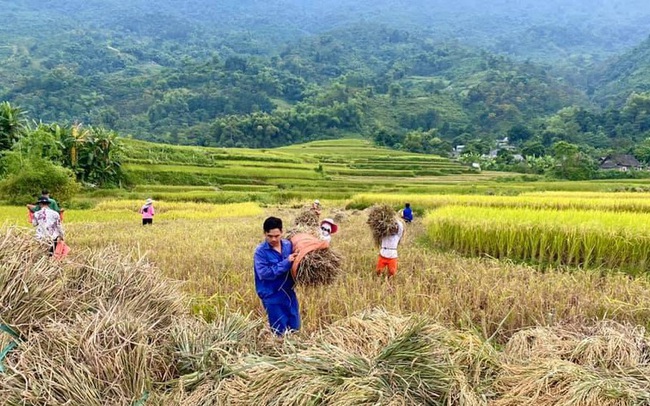 Lên kế hoạch 'săn combo du lịch' nghỉ dưỡng khi nhiều nơi không yêu cầu test COVID-19