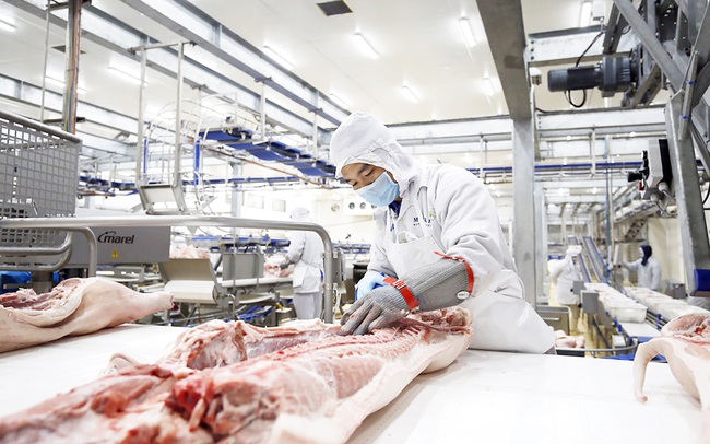 Masan MEATLife phát hành xong gần 7.300 tỷ đồng trái phiếu cho kế hoạch tách mảng cám và đầu tư mở rộng mảng thịt, NĐT ngoại mua hơn 1/3 Masan MEATLife phát hành xong gần 7.300 tỷ đồng trái phiếu cho kế hoạch tách mảng cám và đầu tư mở rộng mảng thịt, NĐT ngoại mua hơn 1/3