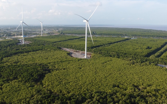 Fecon: Điện gió Quốc Vinh Sóc Trăng đã chính thức vận hành thương mại