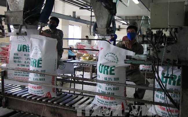 Khủng hoảng nguồn cung: Giá phân đạm urê liên tiếp lập các kỷ lục mới