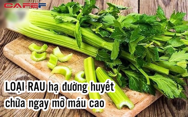 Một loại rau rẻ bèo ở Việt Nam nhưng có tác dụng hạ đường huyết vượt trội, chữa ngay mỡ máu cao
