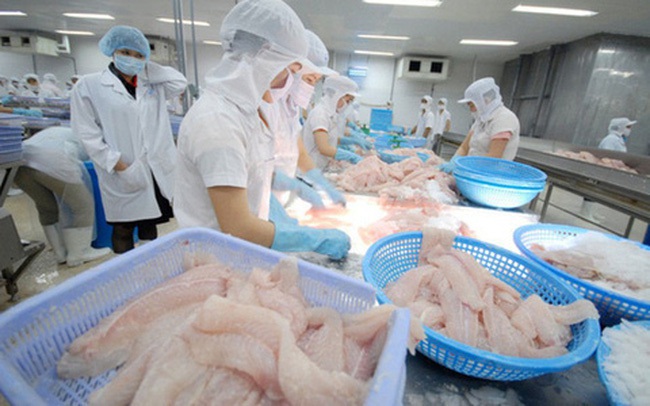 Gần 700 doanh nghiệp được xuất khẩu thủy sản vào Đài Loan