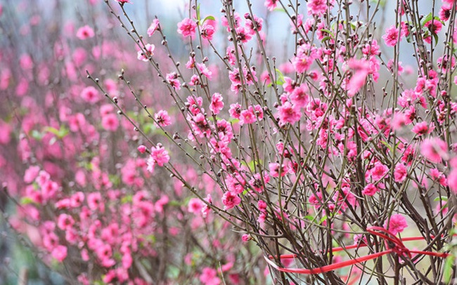 Xông đất đầu năm cần lưu ý gì?