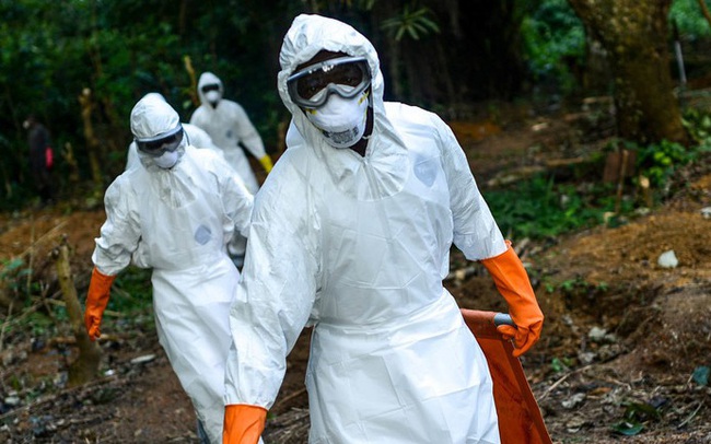 Vẫn chưa 'thanh toán' xong COVID-19, dịch Ebola bùng phát trở lại ở châu Phi