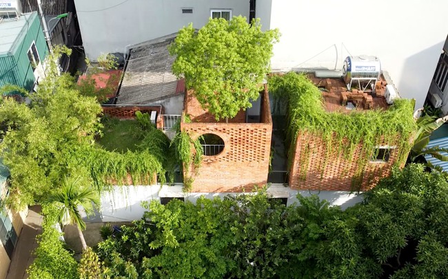 photo1613635982792 16136359830431755626516 - Ng&ocirc;i nh&agrave; 64 m2 tại H&agrave; Nội như một khu vườn với rau v&agrave; c&acirc;y ăn tr&aacute;i