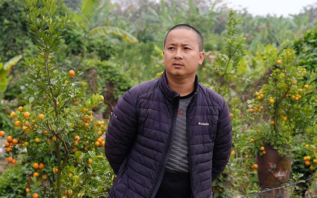 Nỗi đau sau Tết: Cây cảnh ế đầy vườn, nông dân ôm nợ